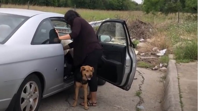 VIDEO Izbacila je pse iz auta i ostavila ih iako je bila zamoljena da ih odveze u sklonište